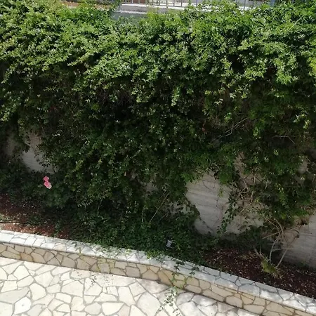 Clio בית נופש *