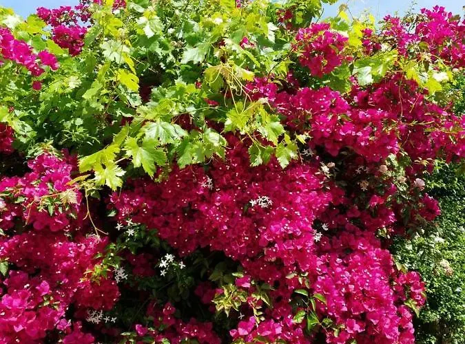 Holiday home Clio Manganos