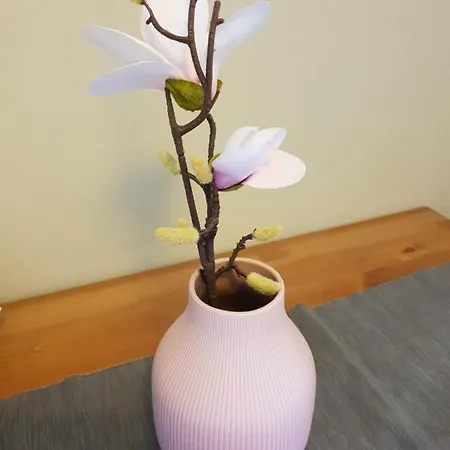 Clio Dom wakacyjny *